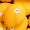 Banganpalli Mango