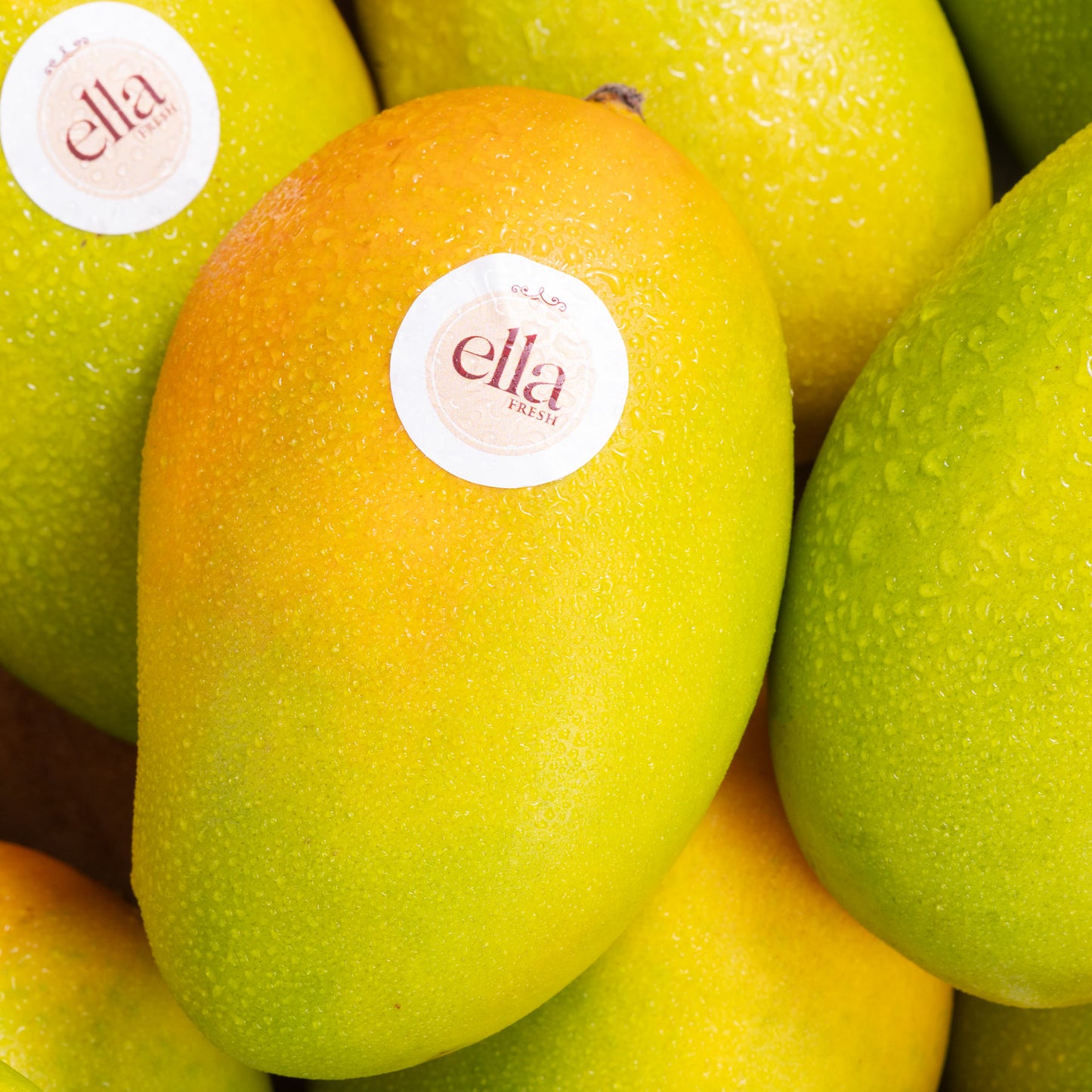 Kesar Mango