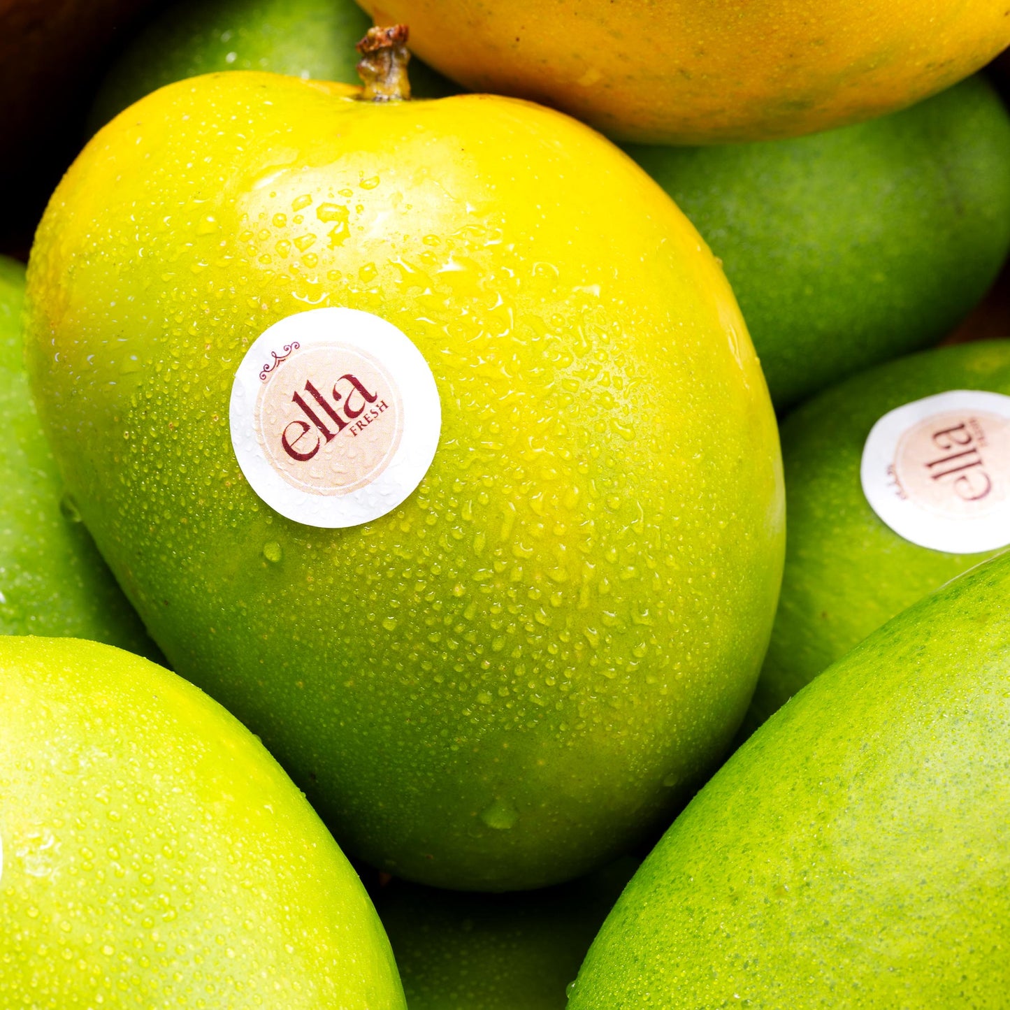 Badami Mango