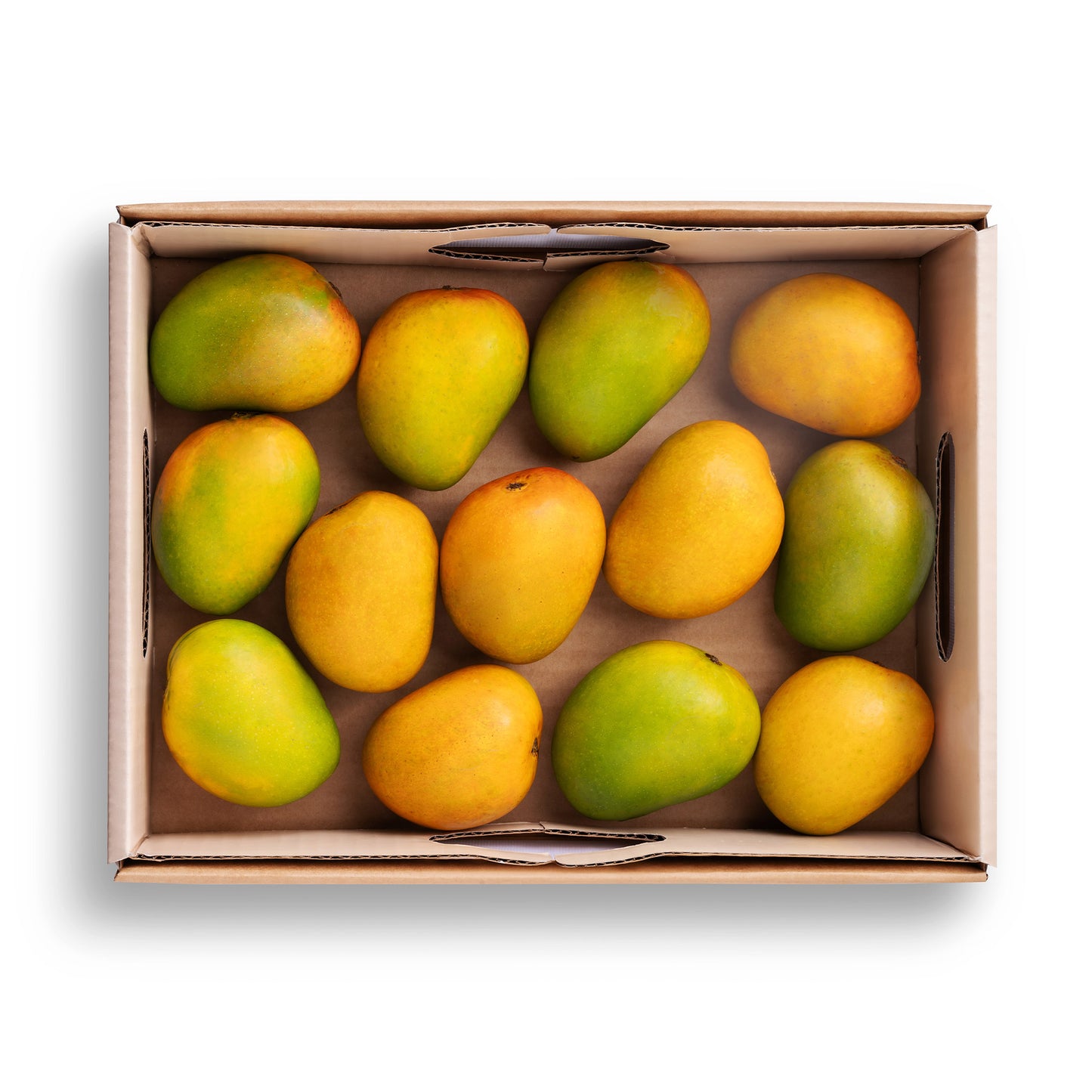 Ratnagiri Alphonso Mango