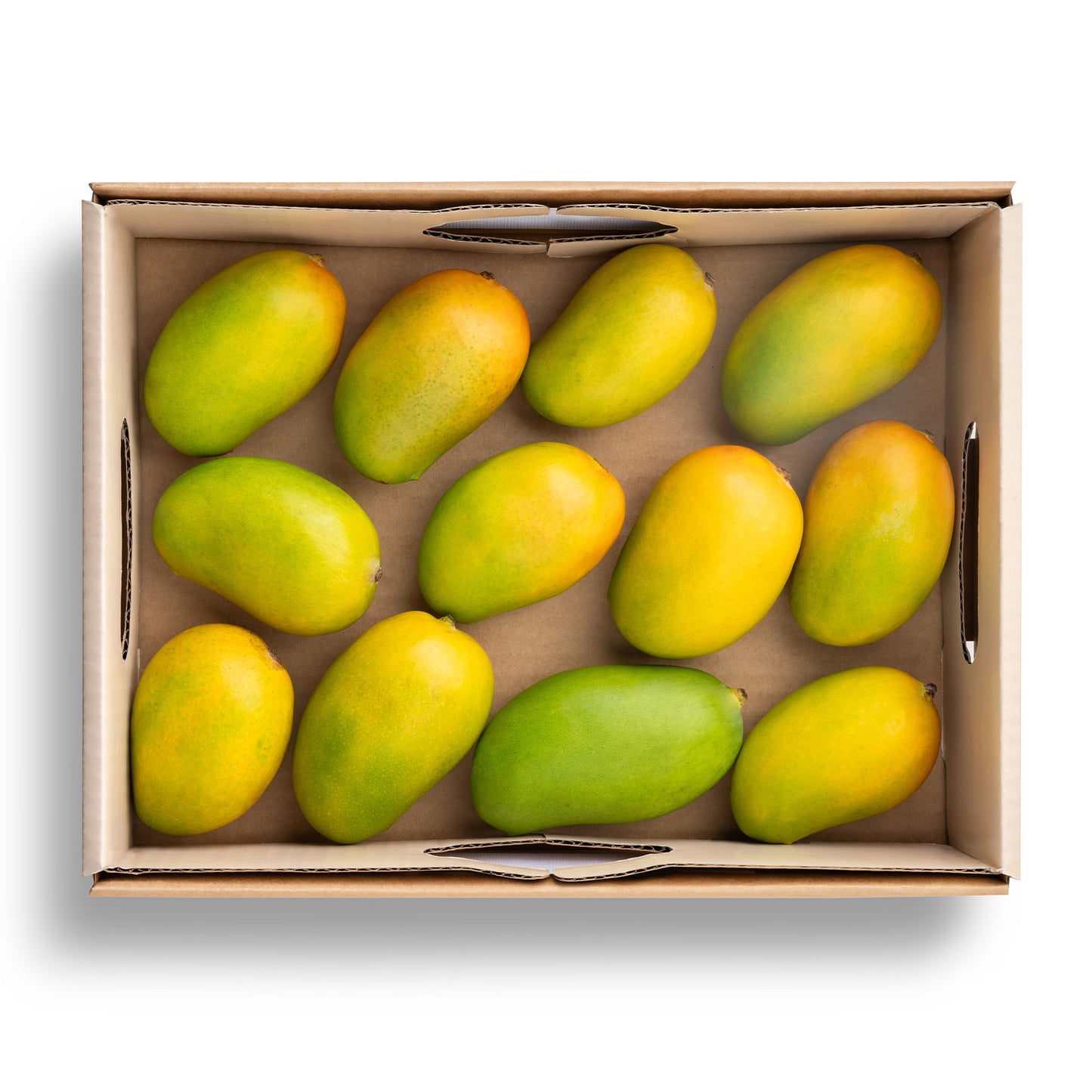 Kesar Mango